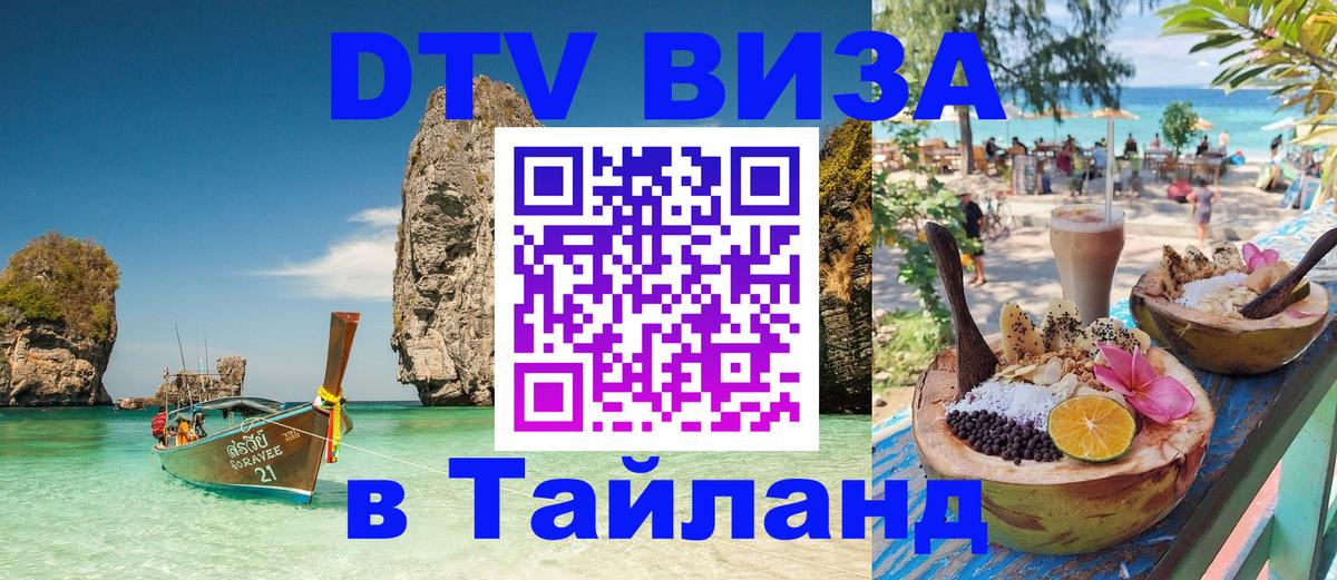 Оформление DTV визы под ключ: стоимость и тарифы, только загранпаспорт - Димитровград  18.11.2025 